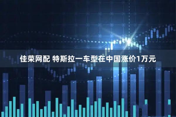 佳荣网配 特斯拉一车型在中国涨价1万元